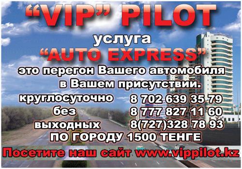 Vip Pilot