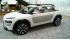 Citron C4 Cactus   