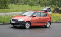     Skoda Fabia 2010