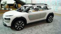 Citron C4 Cactus   